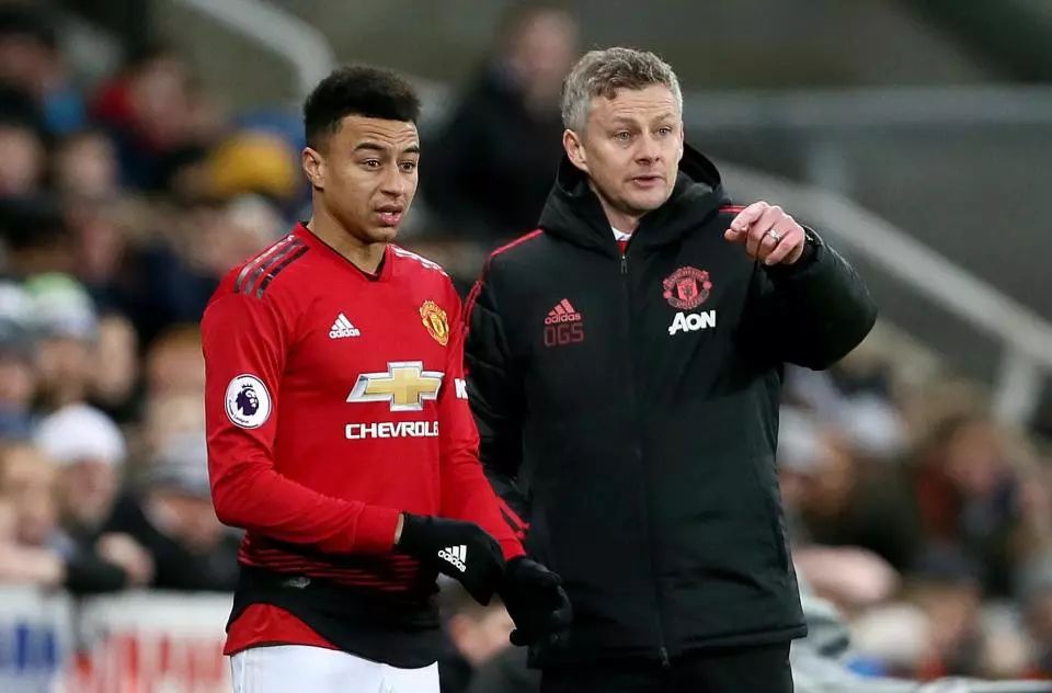 全磁悬浮搅拌器